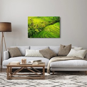 Kép - Rizs teraszok (90x60 cm)