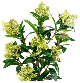 Skimmia Tree műnövény