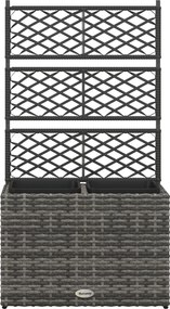 Outsunny Virágtartó Mászó Növényekhez, Emelt Virágtartó 2 Belső Cseréppel, Acél és PE Rattan Váz, 57x30x107cm, Szürke | Aosom