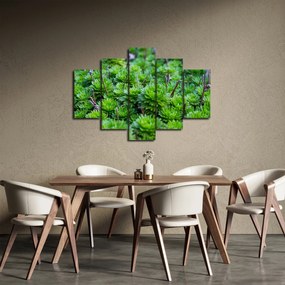 A pozsgás növények képe (150x105 cm)