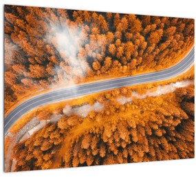Kép - Hegyi út (üvegen) (70x50 cm)