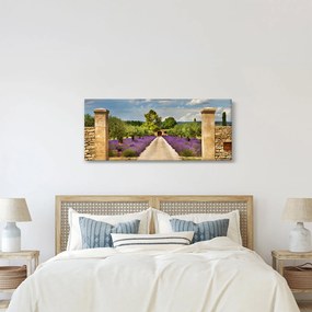 Kép - Levendula ösvények (120x50 cm)