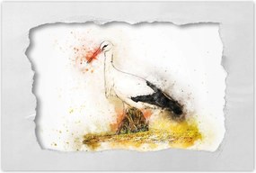 Poszterek 90x60 Gólya