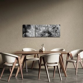 Kép - pitypang pehely (órával) (90x30 cm)