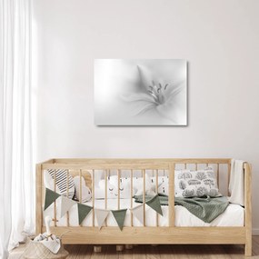 Üveg kép - Delicate Lily (70x50 cm)