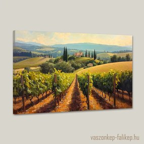 Toszkán szőlőültetvény tájkép – Prémium falikép 60x40 cm