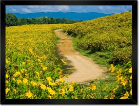 Poszterek keretben 40x30 Falusi tejút