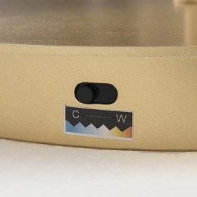 Orion - LED fényerőszabályozható állólámpa KOLK LED/40W/230V 2700/4000K arany