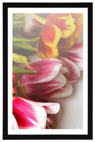 Poszter paszportuval színes tulipán csokor