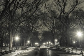 Poszter 91,5x61cm Éjszakai kilátás a Central Parkon át vezető útra, Assaf Frank