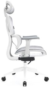 Ergonomikus irodai szék LEVANO szürke/fehér/fekete