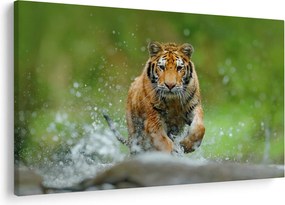 Kép - Futó tigris (90x60 cm)