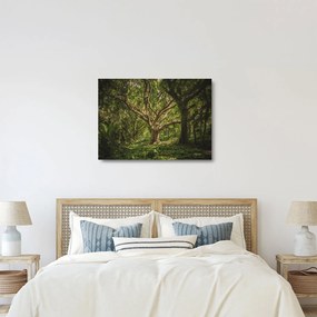 Fa képe (üvegen) (70x50 cm)