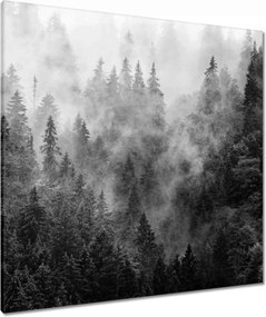 Vászonkép 80x80 Tájkép Szürke Hegyek Köd