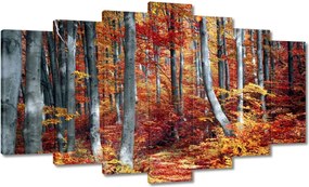 Festmények 140x80 Erdei táj Kilátás