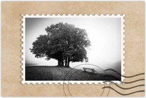 Poszterek 60x40 Tájkép szürke Bw