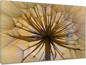 Vászonkép 90x60 Pitypang Virág Virágok