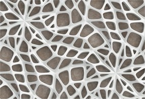 Dekoratív Fali Fotótapéta Falra Geometrikus háló 152x104 Ragasztó