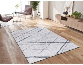 Világosszürke szőnyeg 160x230 cm Class – Universal