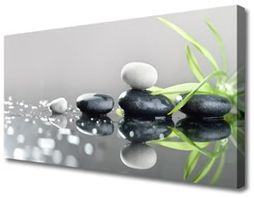 Vászonkép Zen Spa Stones Grass 100x50 cm