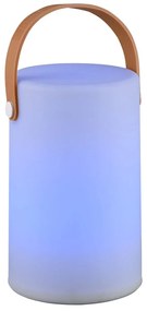 Napelemes LED kültéri lámpa távirányítóval (magasság 21 cm) Aruba – Trio