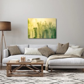 Kép - Részlet a tavaszi ködös természetből (70x50 cm)