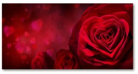 Akrilkép Vörös rózsa szív oah-75608886
