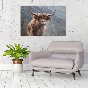 Kép - Highlander tehén (90x60 cm)