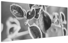 Kép - Őszi természet (120x50 cm)