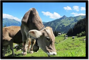 Poszter keretben 60x40 Alpesi tehenek
