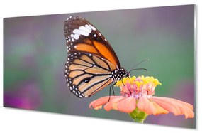 Üvegképek Színes pillangó virág 120x60cm