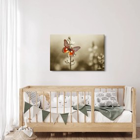 Pillangó képe (90x60 cm)