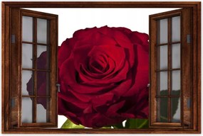 Poszterek 90x60 Vörös rózsa fehér között