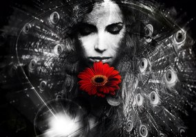 Fotótapéta Nő Paw Gerbera Vinyl absztrakt 254x184 +ragasztó