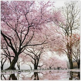 Poszterek 70x70 Fa Kilátás