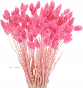 Szárított Phalaris rózsaszín csokor 80 db kanári szárított virágok