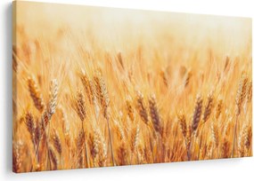 Kép - mező gabonával (90x60 cm)