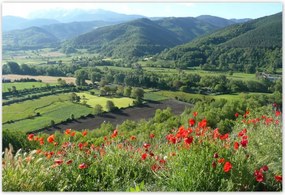 Poszterek 185x125 Virágos kilátás a hegyekben