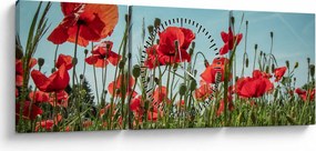 Kép - Pipacsos mező (órával) (90x30 cm)