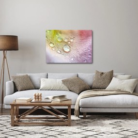 Kép - Harmatcseppek (70x50 cm)