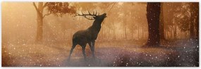 Poszterek 200x66 Szarvas az erdőben