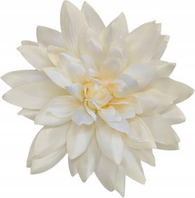 Dália termék nagy 6db '12 sötét krémszínű