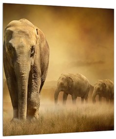 Elefánt képe (30x30 cm)
