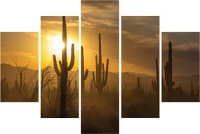 Kép - Saguaro kaktuszok (150x105 cm)
