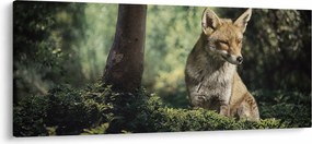 Róka képe (120x50 cm)