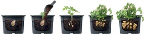 Prosperplast POTATO GROWER kaspó burgonya termesztésre 29,5 cm antracit