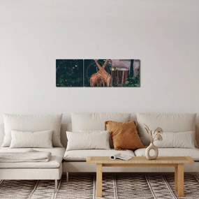 Két zsiráf képe (órával) (90x30 cm)