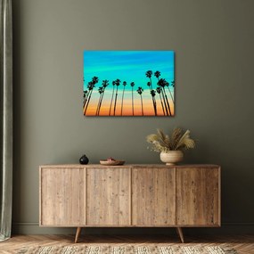 Kép - Kalifornia (70x50 cm)