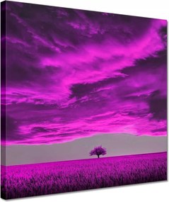 Vászonkép 30x30 Lila tájkép