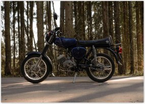 Poszterek 70x50 Simson hármas villogókkal